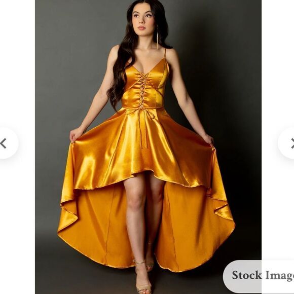 JOYFOLIE SHELLY DRESS IN MUSTARD NET XL - Picture 3 of 6